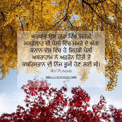 Picture 07 - ਪੈਦਾਇਸ਼ 49:30 PANIRV - ਅਰਥਾਤ ਉਸ ਗੁਫ਼ਾ - Bible Verse Picture