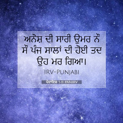 Picture 07 - ਪੈਦਾਇਸ਼ 5:11 PANIRV - ਅਨੋਸ਼ ਦੀ ਸਾਰੀ ਉਮਰ - Bible Verse Picture