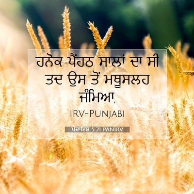 Picture 07 - ਪੈਦਾਇਸ਼ 5:21 PANIRV - ਹਨੋਕ ਪੈਂਹਠ ਸਾਲਾਂ - Bible Verse Picture