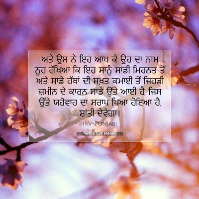 Picture 07 - ਪੈਦਾਇਸ਼ 5:29 PANIRV - ਅਤੇ ਉਸ ਨੇ ਇਹ ਆਖ ਕੇ - Bible Verse Picture