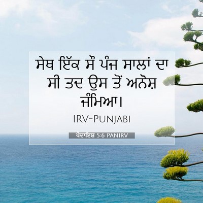Picture 07 - ਪੈਦਾਇਸ਼ 5:6 PANIRV - ਸੇਥ ਇੱਕ ਸੌ ਪੰਜ - Bible Verse Picture