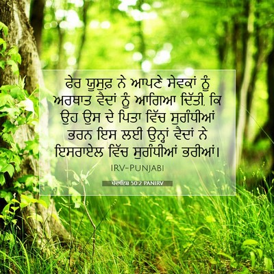 Picture 07 - ਪੈਦਾਇਸ਼ 50:2 PANIRV - ਫੇਰ ਯੂਸੁਫ਼ ਨੇ ਆਪਣੇ - Bible Verse Picture