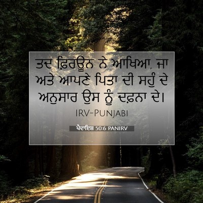 Picture 07 - ਪੈਦਾਇਸ਼ 50:6 PANIRV - ਤਦ ਫ਼ਿਰਊਨ ਨੇ ਆਖਿਆ, - Bible Verse Picture