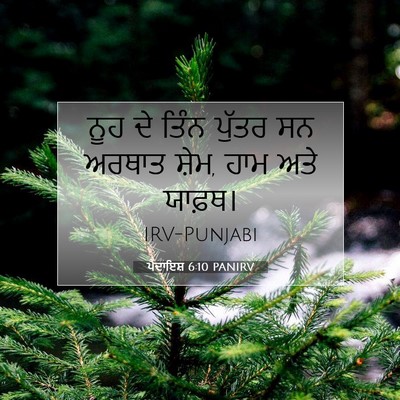 Picture 07 - ਪੈਦਾਇਸ਼ 6:10 PANIRV - ਨੂਹ ਦੇ ਤਿੰਨ ਪੁੱਤਰ - Bible Verse Picture
