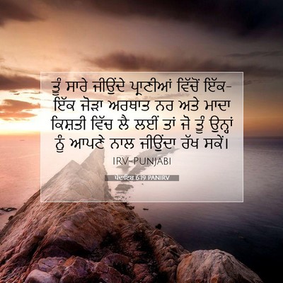 Picture 07 - ਪੈਦਾਇਸ਼ 6:19 PANIRV - ਤੂੰ ਸਾਰੇ ਜੀਉਂਦੇ - Bible Verse Picture