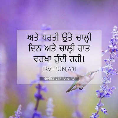 Picture 07 - ਪੈਦਾਇਸ਼ 7:12 PANIRV - ਅਤੇ ਧਰਤੀ ਉੱਤੇ - Bible Verse Picture