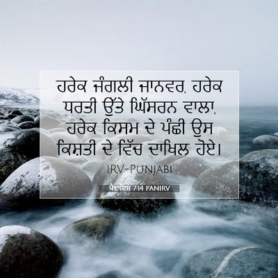 Picture 07 - ਪੈਦਾਇਸ਼ 7:14 PANIRV - ਹਰੇਕ ਜੰਗਲੀ ਜਾਨਵਰ, - Bible Verse Picture