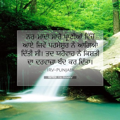 Picture 07 - ਪੈਦਾਇਸ਼ 7:16 PANIRV - ਨਰ-ਮਾਦਾ ਸਾਰੇ - Bible Verse Picture