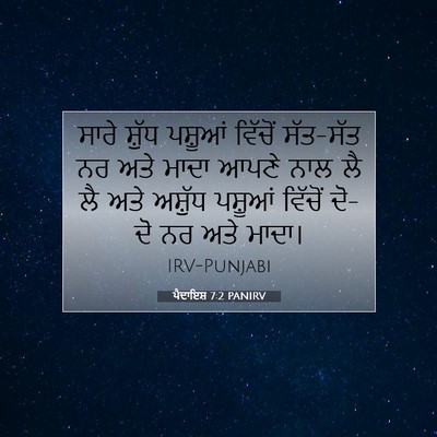 Picture 07 - ਪੈਦਾਇਸ਼ 7:2 PANIRV - ਸਾਰੇ ਸ਼ੁੱਧ ਪਸ਼ੂਆਂ - Bible Verse Picture