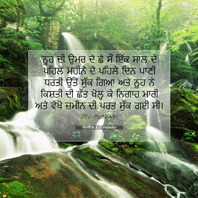 Picture 07 - ਪੈਦਾਇਸ਼ 8:13 PANIRV - ਨੂਹ ਦੀ ਉਮਰ ਦੇ ਛੇ ਸੌ - Bible Verse Picture