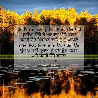 Picture 07 - ਪੈਦਾਇਸ਼ 8:17 PANIRV - ਹਰ ਇੱਕ ਜਾਨਵਰ ਨੂੰ - Bible Verse Picture