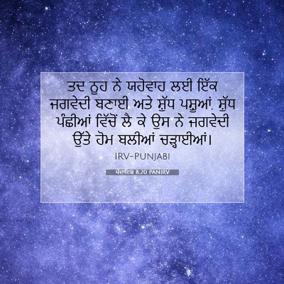 Picture 07 - ਪੈਦਾਇਸ਼ 8:20 PANIRV - ਤਦ ਨੂਹ ਨੇ ਯਹੋਵਾਹ ਲਈ - Bible Verse Picture