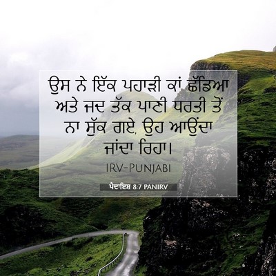 Picture 07 - ਪੈਦਾਇਸ਼ 8:7 PANIRV - ਉਸ ਨੇ ਇੱਕ ਪਹਾੜੀ ਕਾਂ - Bible Verse Picture