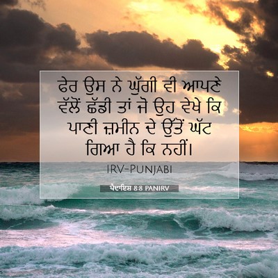 Picture 07 - ਪੈਦਾਇਸ਼ 8:8 PANIRV - ਫੇਰ ਉਸ ਨੇ ਘੁੱਗੀ ਵੀ - Bible Verse Picture