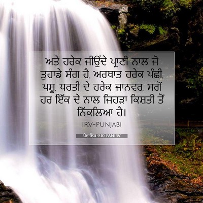 Picture 07 - ਪੈਦਾਇਸ਼ 9:10 PANIRV - ਅਤੇ ਹਰੇਕ ਜੀਉਂਦੇ - Bible Verse Picture