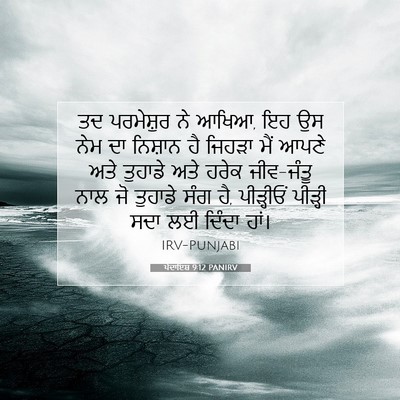 Picture 07 - ਪੈਦਾਇਸ਼ 9:12 PANIRV - ਤਦ ਪਰਮੇਸ਼ੁਰ ਨੇ - Bible Verse Picture