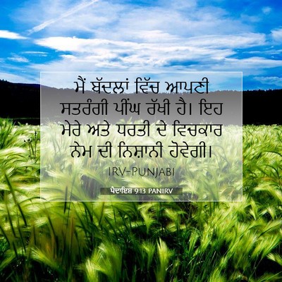 Picture 07 - ਪੈਦਾਇਸ਼ 9:13 PANIRV - ਮੈਂ ਬੱਦਲਾਂ ਵਿੱਚ - Bible Verse Picture