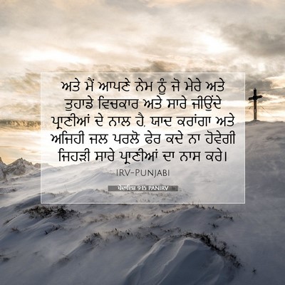 Picture 07 - ਪੈਦਾਇਸ਼ 9:15 PANIRV - ਅਤੇ ਮੈਂ ਆਪਣੇ ਨੇਮ - Bible Verse Picture