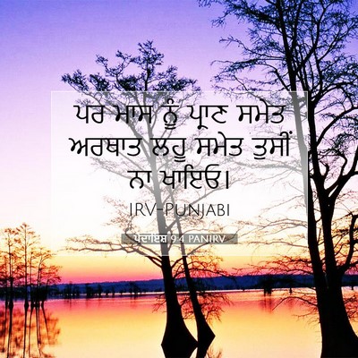 Picture 07 - ਪੈਦਾਇਸ਼ 9:4 PANIRV - ਪਰ ਮਾਸ ਨੂੰ ਪ੍ਰਾਣ - Bible Verse Picture