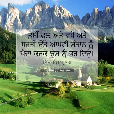 Picture 07 - ਪੈਦਾਇਸ਼ 9:7 PANIRV - ਤੁਸੀਂ ਫਲੋ ਅਤੇ ਵਧੋ - Bible Verse Picture