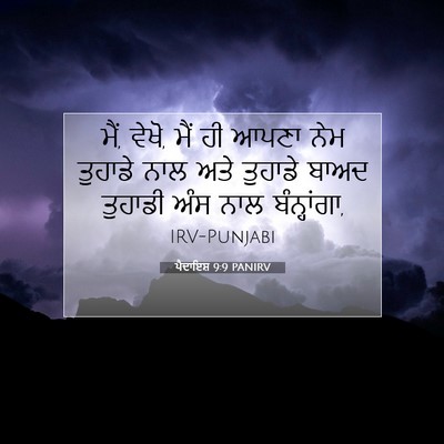 Picture 07 - ਪੈਦਾਇਸ਼ 9:9 PANIRV - ਮੈਂ, ਵੇਖੋ, ਮੈਂ ਹੀ - Bible Verse Picture