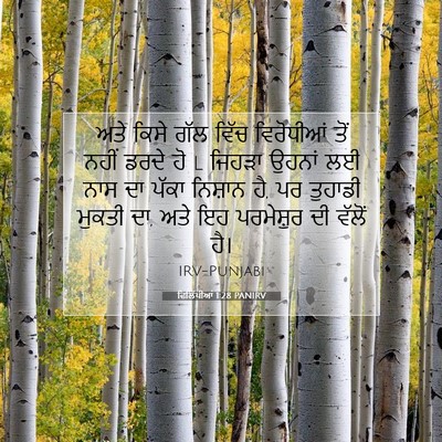 Picture 07 - ਫਿਲਿੱਪੀਆਂ 1:28 PANIRV - ਅਤੇ ਕਿਸੇ ਗੱਲ ਵਿੱਚ - Bible Verse Picture