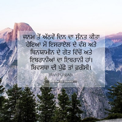 Picture 07 - ਫਿਲਿੱਪੀਆਂ 3:5 PANIRV - ਜਨਮ ਤੋਂ ਅੱਠਵੇਂ ਦਿਨ - Bible Verse Picture