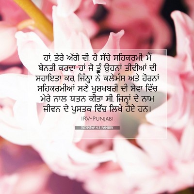 Picture 07 - ਫਿਲਿੱਪੀਆਂ 4:3 PANIRV - ਹਾਂ, ਤੇਰੇ ਅੱਗੇ ਵੀ, - Bible Verse Picture