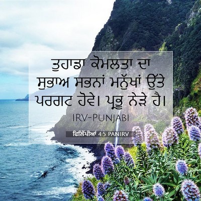 Picture 07 - ਫਿਲਿੱਪੀਆਂ 4:5 PANIRV - ਤੁਹਾਡਾ ਕੋਮਲਤਾ ਦਾ - Bible Verse Picture