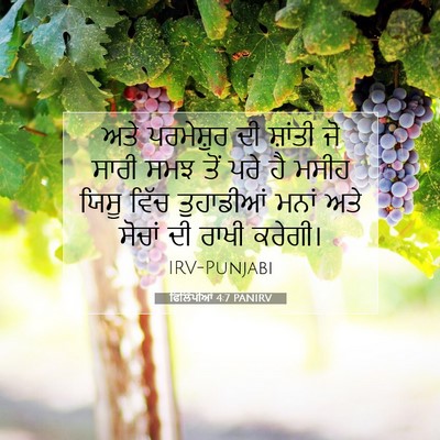 Picture 07 - ਫਿਲਿੱਪੀਆਂ 4:7 PANIRV - ਅਤੇ ਪਰਮੇਸ਼ੁਰ ਦੀ - Bible Verse Picture