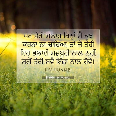 Picture 07 - ਫਿਲੇਮੋਨ 1:14 PANIRV - ਪਰ ਤੇਰੀ ਸਲਾਹ - Bible Verse Picture