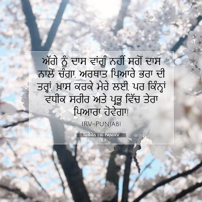 Picture 07 - ਫਿਲੇਮੋਨ 1:16 PANIRV - ਅੱਗੇ ਨੂੰ ਦਾਸ - Bible Verse Picture