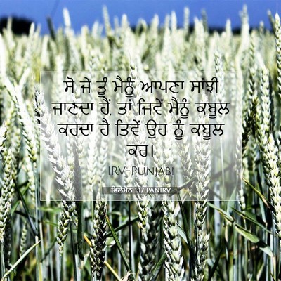 Picture 07 - ਫਿਲੇਮੋਨ 1:17 PANIRV - ਸੋ ਜੇ ਤੂੰ ਮੈਨੂੰ - Bible Verse Picture
