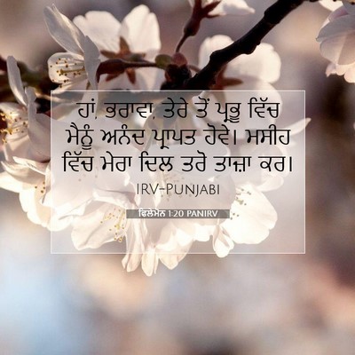 Picture 07 - ਫਿਲੇਮੋਨ 1:20 PANIRV - ਹਾਂ, ਭਰਾਵਾ, ਤੇਰੇ - Bible Verse Picture