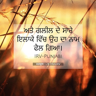 Picture 07 - ਮਰਕੁਸ 1:28 PANIRV - ਅਤੇ ਗਲੀਲ ਦੇ ਸਾਰੇ - Bible Verse Picture