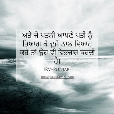 Picture 07 - ਮਰਕੁਸ 10:12 PANIRV - ਅਤੇ ਜੇ ਪਤਨੀ ਆਪਣੇ - Bible Verse Picture