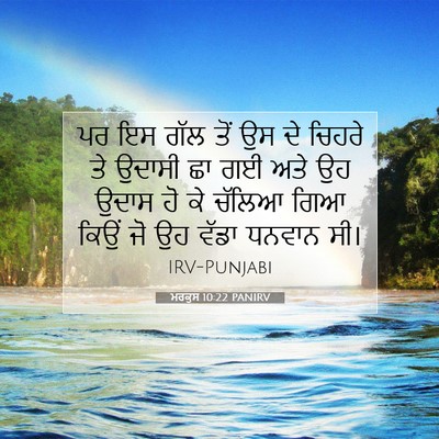 Picture 07 - ਮਰਕੁਸ 10:22 PANIRV - ਪਰ ਇਸ ਗੱਲ ਤੋਂ ਉਸ ਦੇ - Bible Verse Picture