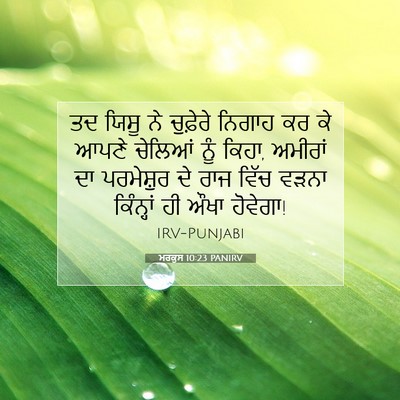 Picture 07 - ਮਰਕੁਸ 10:23 PANIRV - ਤਦ ਯਿਸੂ ਨੇ ਚੁਫ਼ੇਰੇ - Bible Verse Picture
