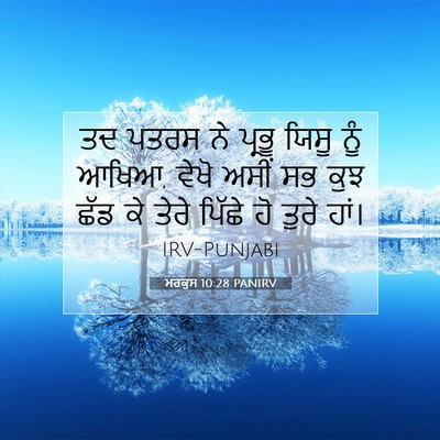 Picture 07 - ਮਰਕੁਸ 10:28 PANIRV - ਤਦ ਪਤਰਸ ਨੇ ਪ੍ਰਭੂ - Bible Verse Picture