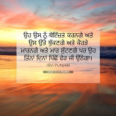 Picture 07 - ਮਰਕੁਸ 10:34 PANIRV - ਉਹ ਉਸ ਨੂੰ ਬੇਇੱਜ਼ਤ - Bible Verse Picture