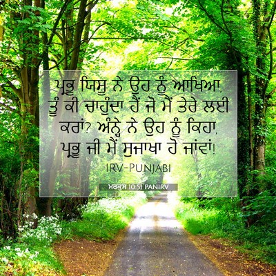 Picture 07 - ਮਰਕੁਸ 10:51 PANIRV - ਪ੍ਰਭੂ ਯਿਸੂ ਨੇ ਉਹ - Bible Verse Picture