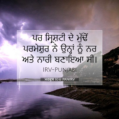 Picture 07 - ਮਰਕੁਸ 10:6 PANIRV - ਪਰ ਸ੍ਰਿਸ਼ਟੀ ਦੇ - Bible Verse Picture