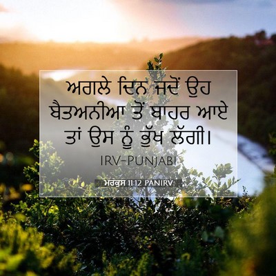 Picture 07 - ਮਰਕੁਸ 11:12 PANIRV - ਅਗਲੇ ਦਿਨ ਜਦੋਂ ਉਹ - Bible Verse Picture