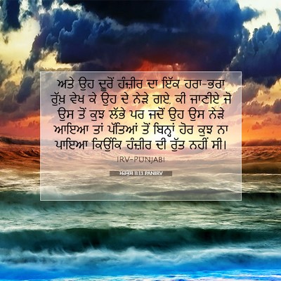 Picture 07 - ਮਰਕੁਸ 11:13 PANIRV - ਅਤੇ ਉਹ ਦੂਰੋਂ - Bible Verse Picture