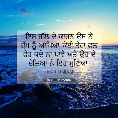 Picture 07 - ਮਰਕੁਸ 11:14 PANIRV - ਇਸ ਗੱਲ ਦੇ ਕਾਰਨ ਉਸ - Bible Verse Picture