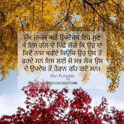 Picture 07 - ਮਰਕੁਸ 11:18 PANIRV - ਮੁੱਖ ਜਾਜਕ ਅਤੇ - Bible Verse Picture