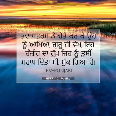 Picture 07 - ਮਰਕੁਸ 11:21 PANIRV - ਤਦ ਪਤਰਸ ਨੇ ਚੇਤੇ ਕਰ - Bible Verse Picture