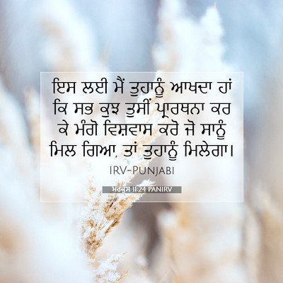 Picture 07 - ਮਰਕੁਸ 11:24 PANIRV - ਇਸ ਲਈ ਮੈਂ ਤੁਹਾਨੂੰ - Bible Verse Picture