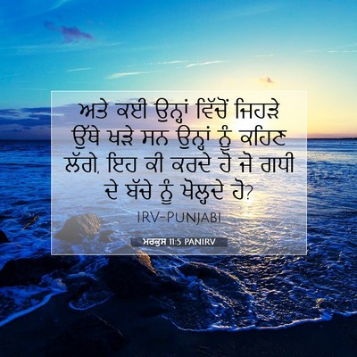 Picture 07 - ਮਰਕੁਸ 11:5 PANIRV - ਅਤੇ ਕਈ ਉਨ੍ਹਾਂ - Bible Verse Picture