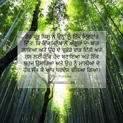 Picture 07 - ਮਰਕੁਸ 12:1 PANIRV - ਫੇਰ ਪ੍ਰਭੂ ਯਿਸੂ ਨੇ - Bible Verse Picture